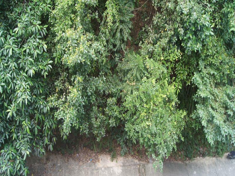 Hotel Hsiang Garden Sandakan Ngoại thất bức ảnh